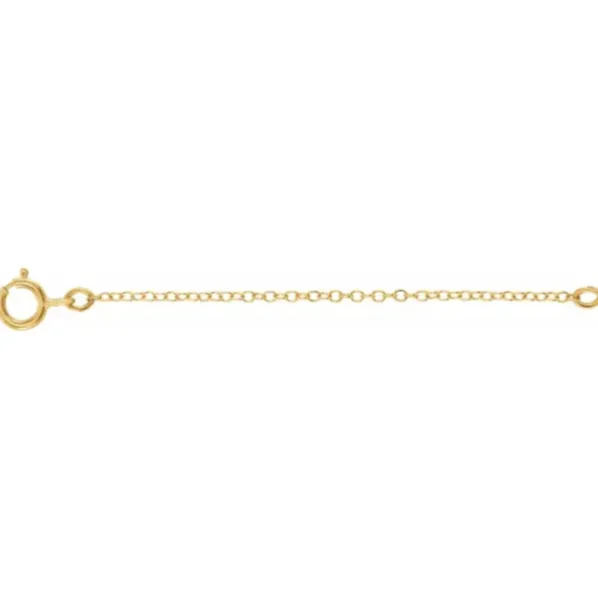 14KT Yellow Gold Safety Chain Extender with Spring Ring 2.25"