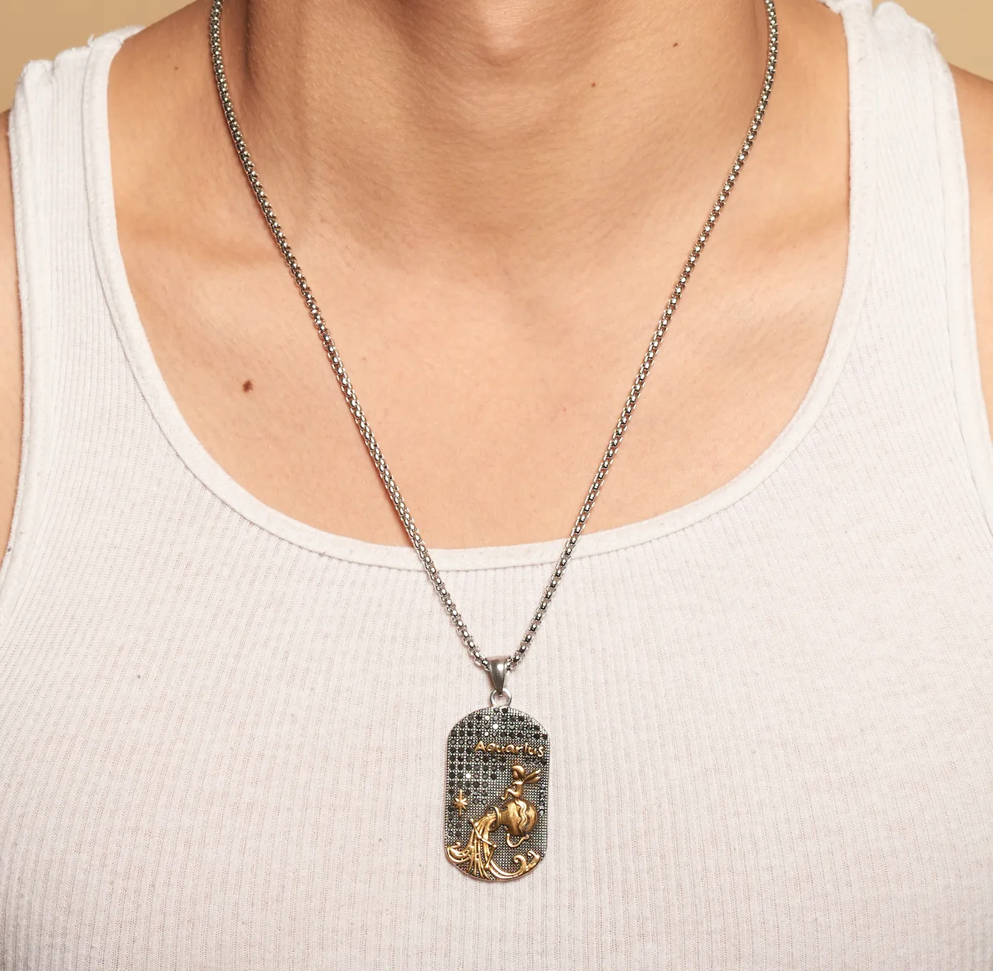 Aquarius 3D Dog tag necklaces