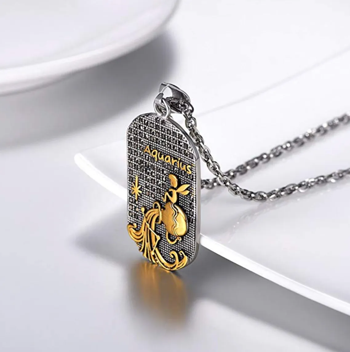 Aquarius 3D Dog tag necklaces
