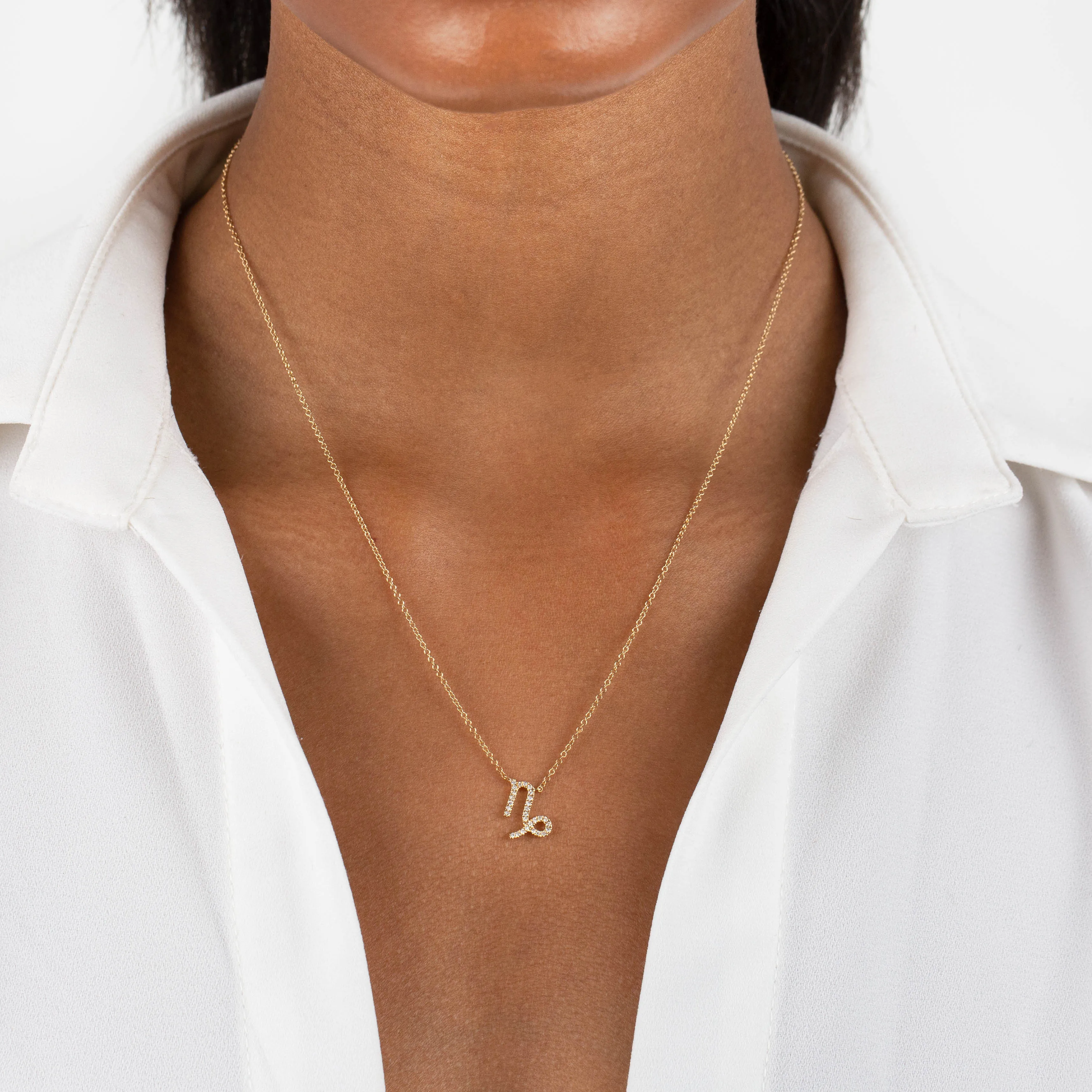 Diamond Zodiac Necklace 14K