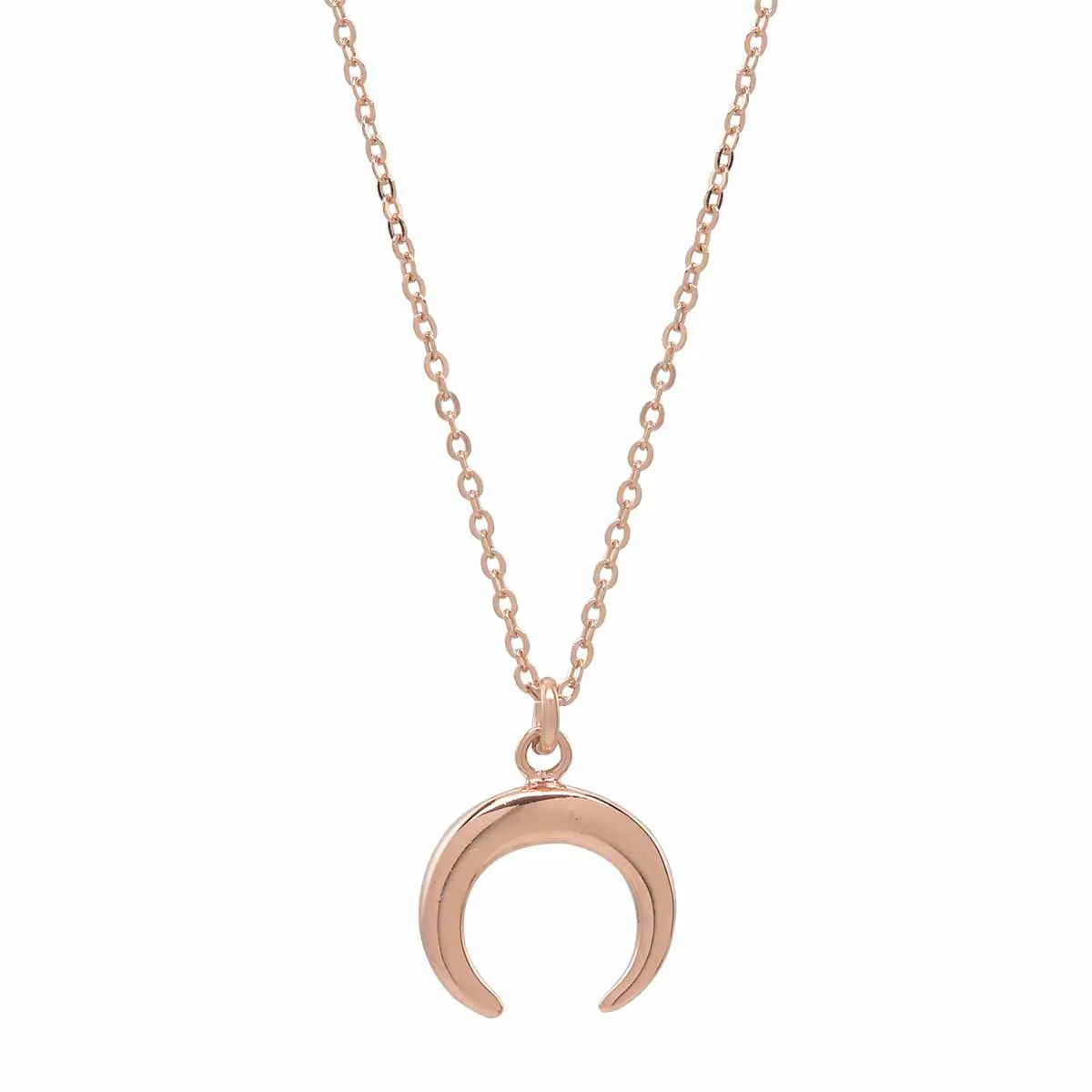 SALE - Horn Necklace