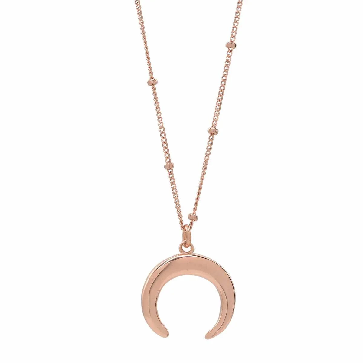 SALE - Horn Necklace