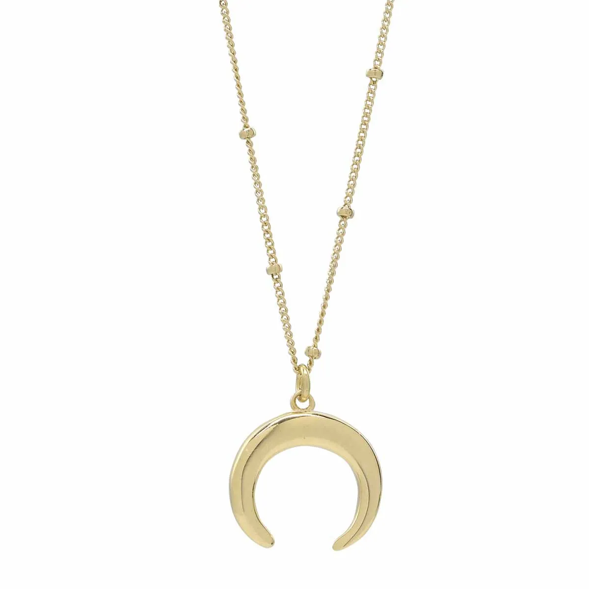 SALE - Horn Necklace