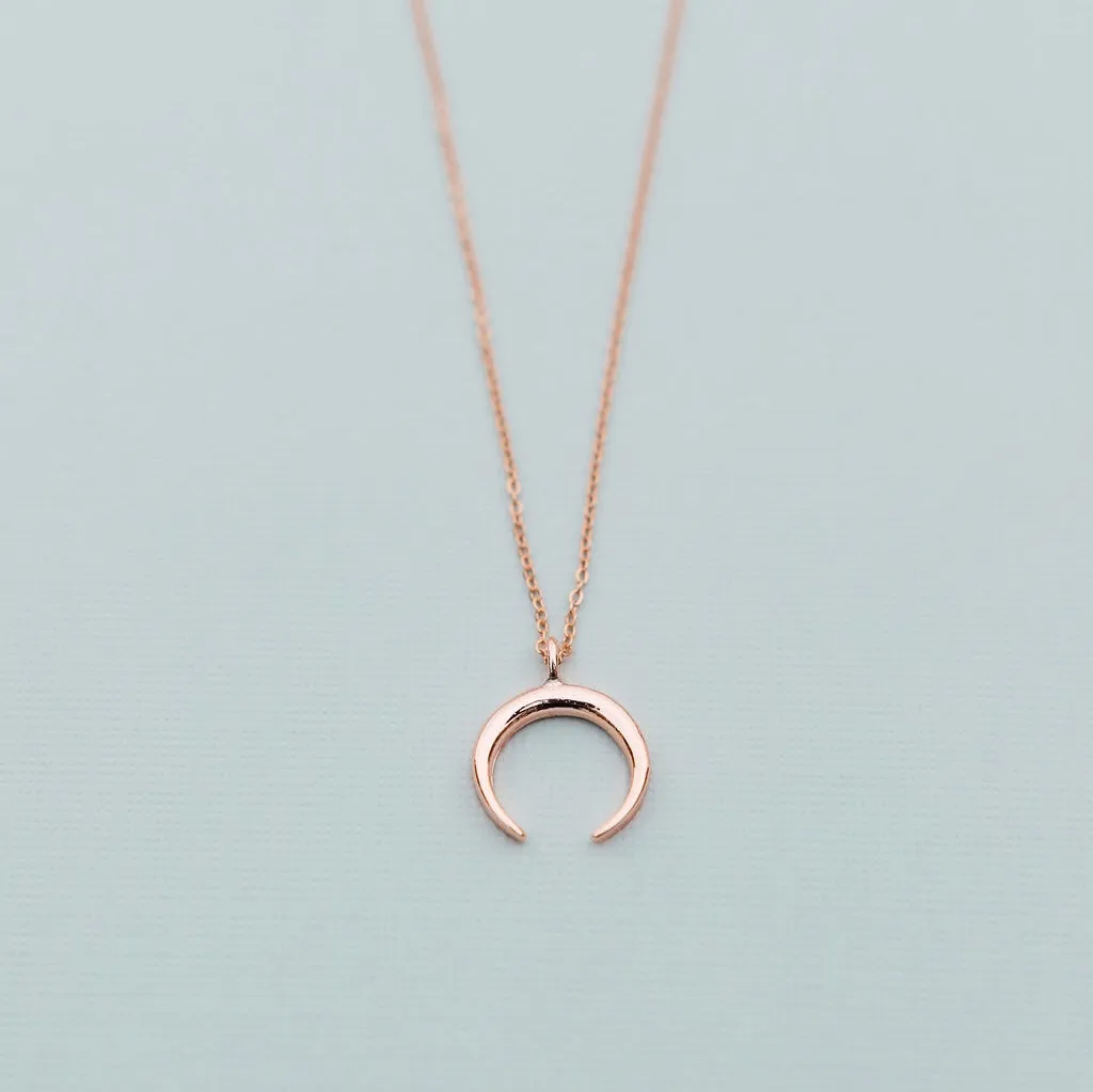 SALE - Horn Necklace